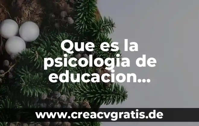 Qué es la atención neuro psicología 5 Que es la psicologia de educacion especial