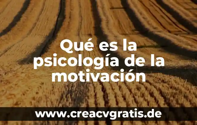 Que es el pacto fiscal mexico 8 Qué es la psicología de la motivación