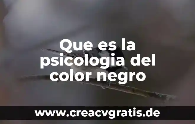 Que es color de combinacion de correspondencia en word 3 Que es la psicologia del color negro