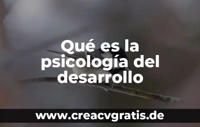 Que es la psicologia ideografica 8 Qué es la psicología del desarrollo