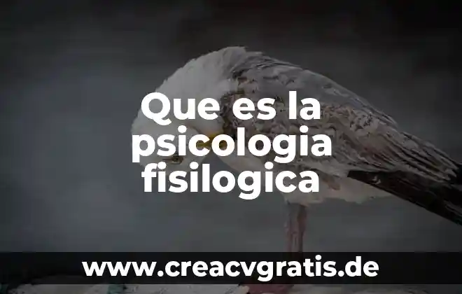 Self sexual en psicología qué es 7 Que es la psicologia fisilogica