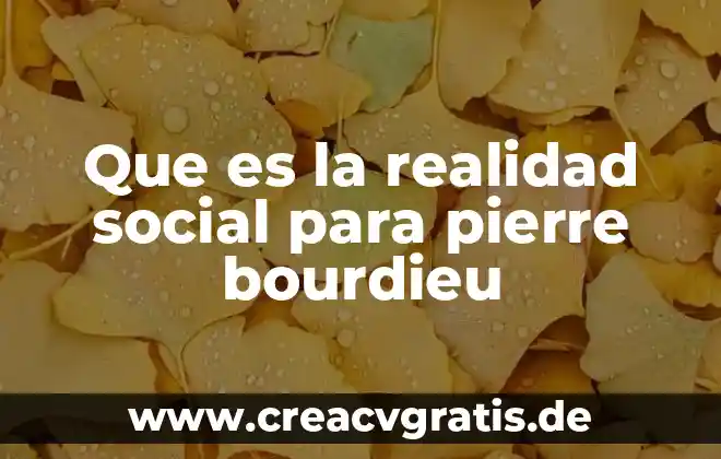 Resumen de que es la filosofia antigua de pierre hadot 4 Que es la realidad social para pierre bourdieu
