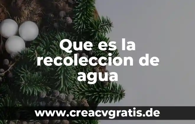 Que es agua freatica 6 Que es la recoleccion de agua