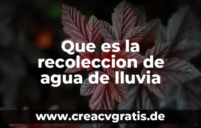 Que es un mecanismo para recoleccion de requerimientos 6 Que es la recoleccion de agua de lluvia