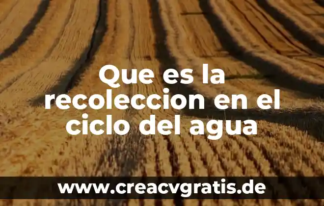 Que es la recoleccion de agua de lluvia 7 Que es la recoleccion en el ciclo del agua