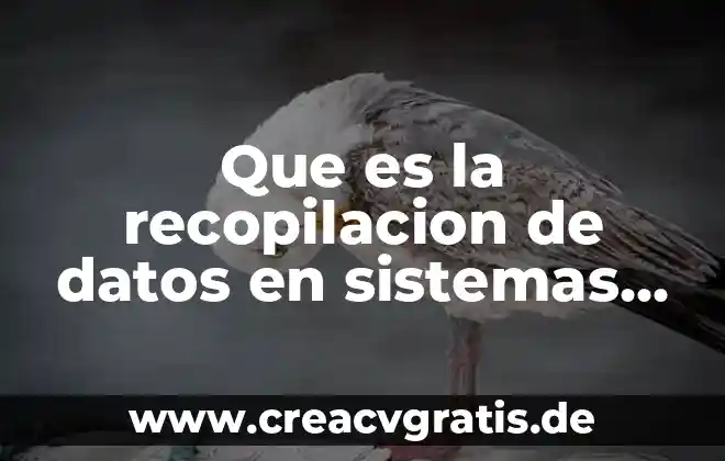 Auditoria en sistemas que es 3 Que es la recopilacion de datos en sistemas de informacion