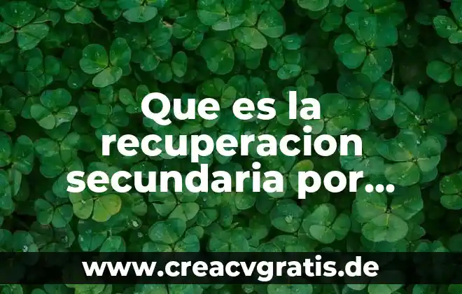 Qué es la psicología psicoterápica y psicoanalista 6 Que es la recuperacion secundaria por inundacion quimica