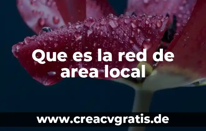 Qué es fuera de red local 7 Que es la red de area local