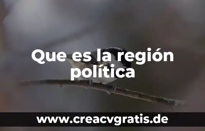 Que es politica de la corporación 7 Que es la región política