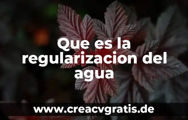 ¿Qué es el agua potable y el cloro? 3 Que es la regularizacion del agua