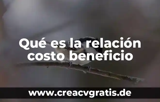 Qué es agua alcalina en qué beneficio 4 Qué es la relación costo beneficio