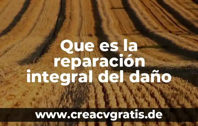 Libreta de la muerte anime que es 6 Que es la reparación integral del daño