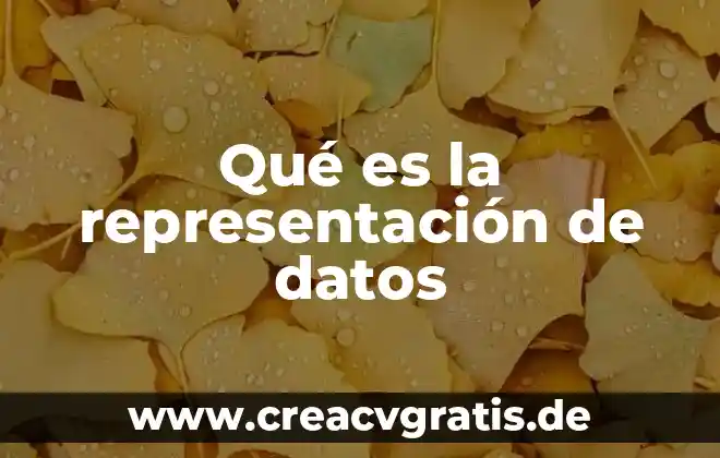 Que es representacion de numeros fraccionarios 3 Qué es la representación de datos