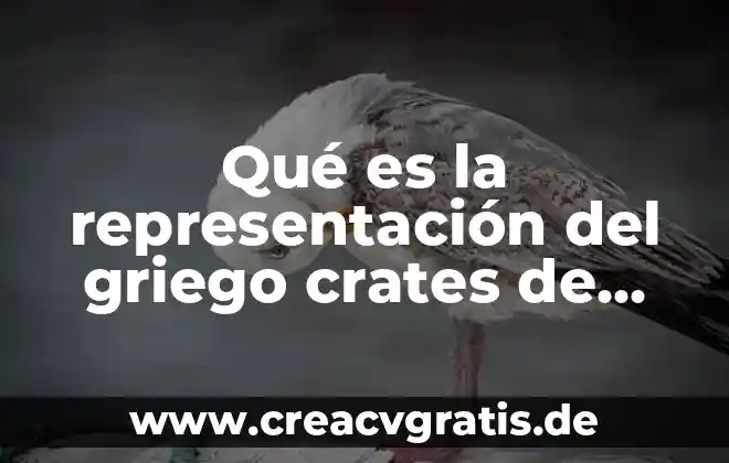 Qué es el término de areté griego 5 Qué es la representación del griego crates de malos mapa