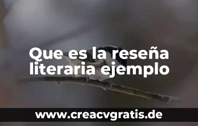 Axiológica que es y ejemplo 3 Que es la reseña literaria ejemplo