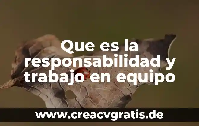 Qué es grupo y equipo 4 Que es la responsabilidad y trabajo en equipo