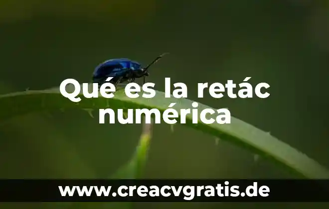 Qué es la simulación numérica 7 Qué es la retác numérica
