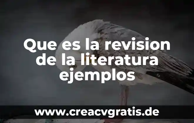 Que es fantasilosa en literatura 6 Que es la revision de la literatura ejemplos