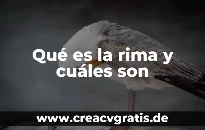 Que es una cabecera municipal y cuales son sus funciones 8 Qué es la rima y cuáles son