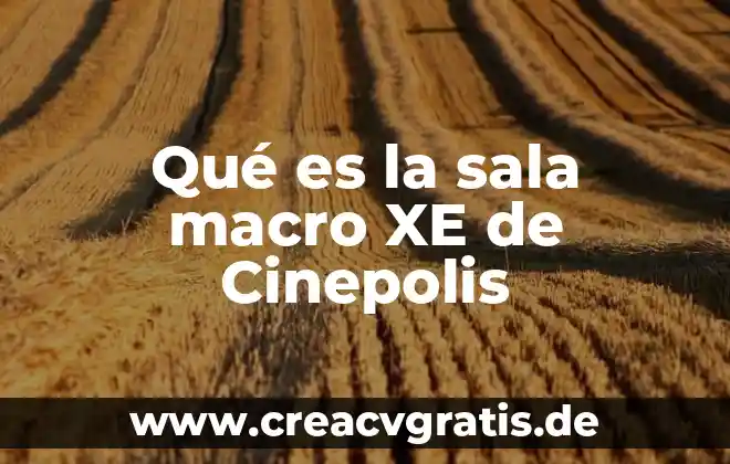 Qué es una sala de agua y electricidad 5 Qué es la sala macro XE de Cinepolis