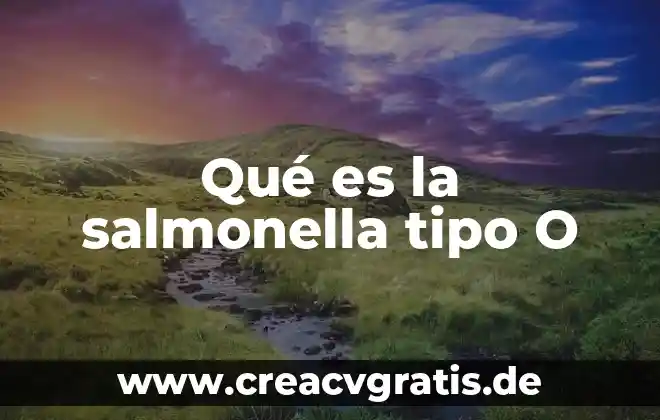 Tipo de bolsa que es de sabritas 5 Qué es la salmonella tipo O