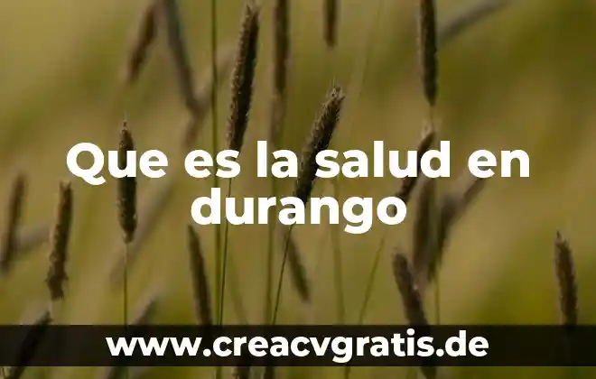 Que es salud tipos 7 Que es la salud en durango