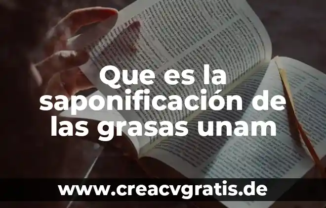 Que es el razonamiento por autores de la unam 6 Que es la saponificación de las grasas unam