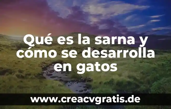 Qué es exactamente el sol 3 Qué es la sarna y cómo se desarrolla en gatos