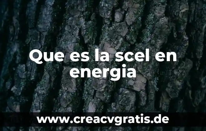 Que es el logotipo de energia stort 4 Que es la scel en energia