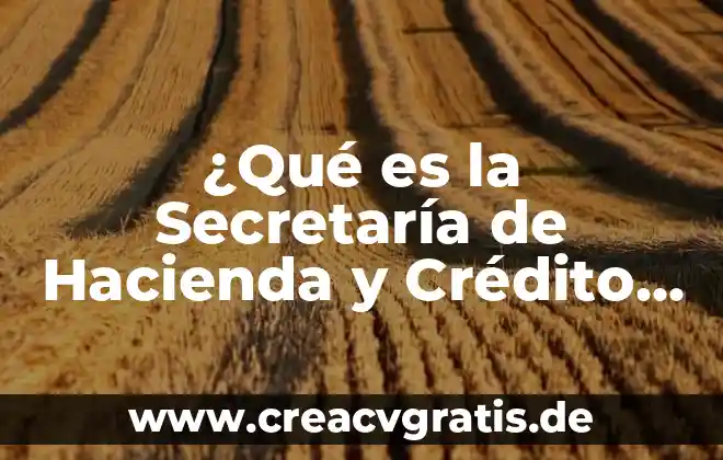 Que es un riesgo segun secretaria del trabajo 6 ¿Qué es la Secretaría de Hacienda y Crédito Público?