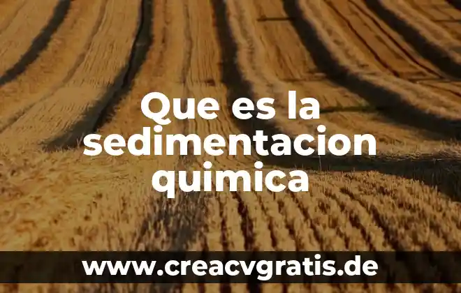 Qué es número de identificación jurídica 3 Que es la sedimentacion quimica
