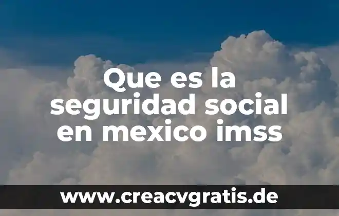 Que es lo social en una planta 8 Que es la seguridad social en mexico imss
