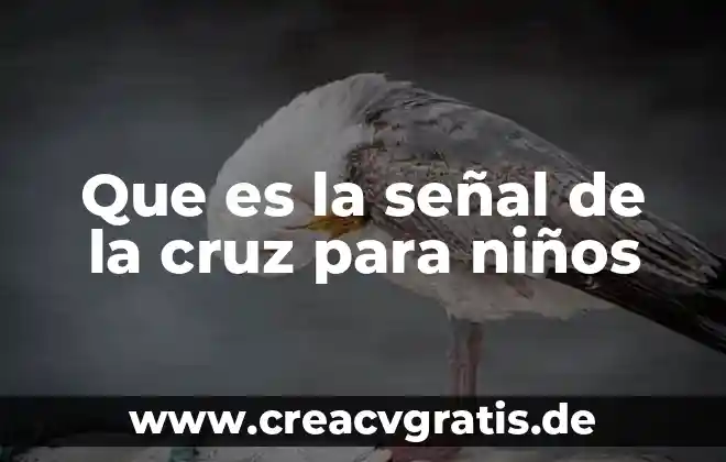 Que es ser hepatico 5 Que es la señal de la cruz para niños