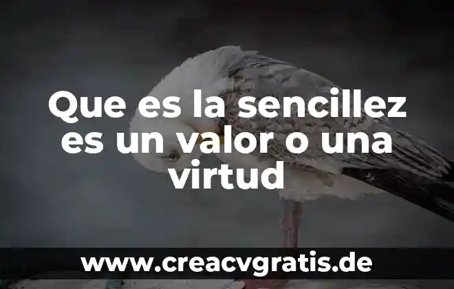 Qué es significado nominativo 6 Que es la sencillez es un valor o una virtud