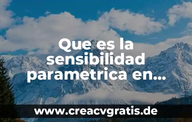 Que es censo de economia 3 Que es la sensibilidad parametrica en economia