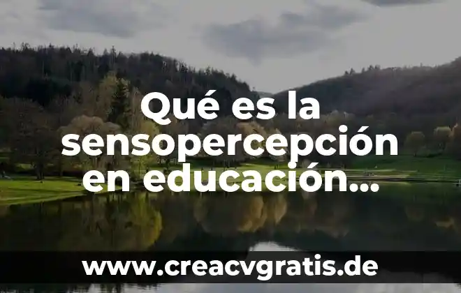 Que es una estrella definicion larga 8 Qué es la sensopercepción en educación física definición larga