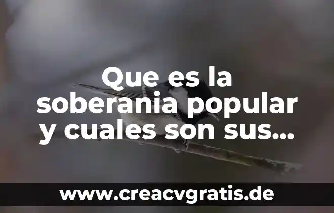 Qué es el relieve y cuáles son sus tipos 6 Que es la soberania popular y cuales son sus fundamentos