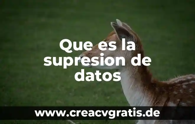 Que es un deslinde de datos 5 Que es la supresion de datos