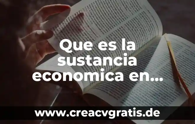 Qué es un programa gubernamental significa 7 Que es la sustancia economica en contabilidad gubernamental