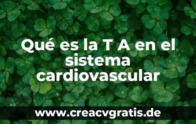 Que es un sistema numerico octal 8 Qué es la T A en el sistema cardiovascular