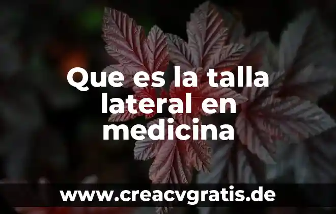Para que es importante el hierro en el embarazo 7 Que es la talla lateral en medicina