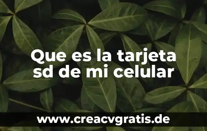 Que es rdw sd en analisis de sangre alto 3 Que es la tarjeta sd de mi celular