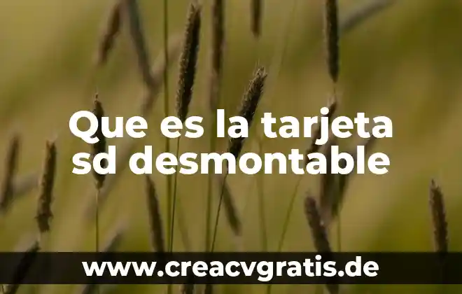 Que es rdw sd en analisis de sangre alto 6 Que es la tarjeta sd desmontable