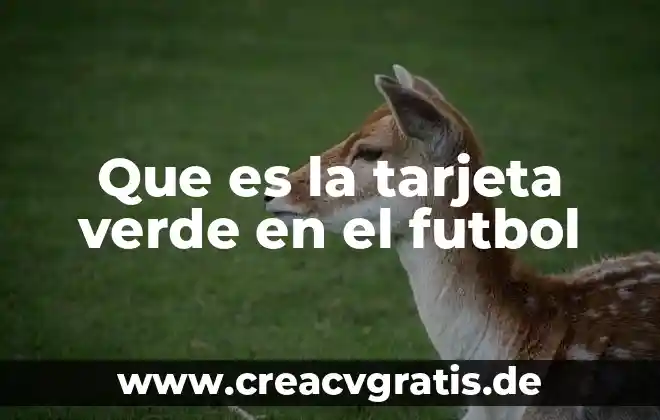 Que es una tarjeta r4 6 Que es la tarjeta verde en el futbol