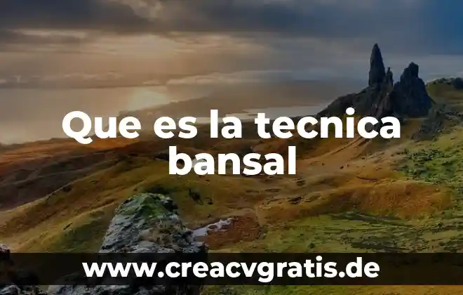 Que es un medio de representación técnica 7 Que es la tecnica bansal