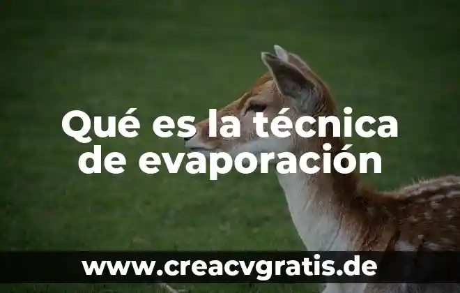 Psicología que es técnica 3 Qué es la técnica de evaporación