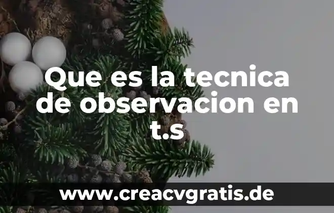 Que es la tecnica conductual asersiva 6 Que es la tecnica de observacion en t.s