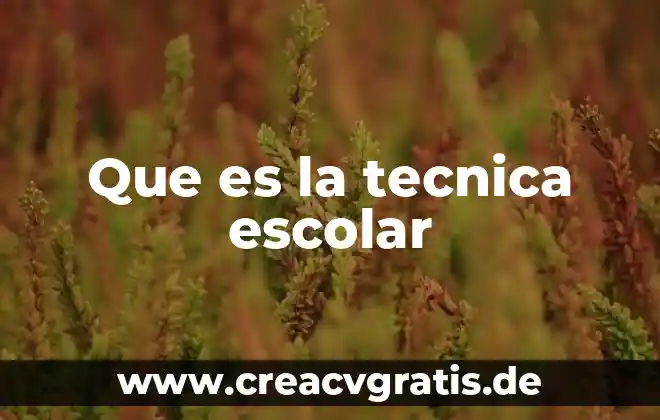 Que es conclusión de libro escolar 6 Que es la tecnica escolar
