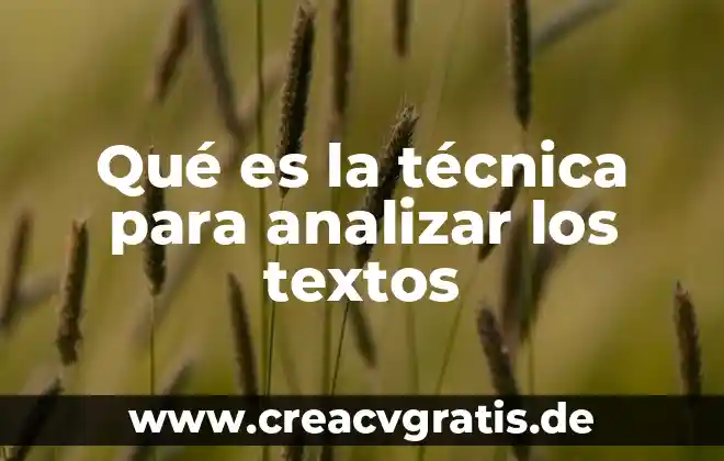 Que es tecnica y un ejemplo 3 Qué es la técnica para analizar los textos
