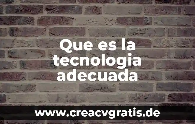 Qué es un octeto en tecnología 8 Que es la tecnologia adecuada